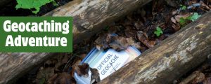 A small container hidden in a tree stump, Geocaching Adventure