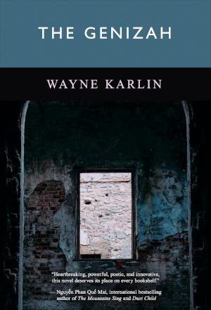 Book cover of The Genizah by Wayne Karlin